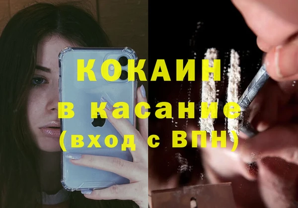 ПСИЛОЦИБИНОВЫЕ ГРИБЫ Карталы
