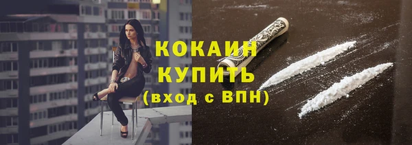 ПСИЛОЦИБИНОВЫЕ ГРИБЫ Карталы
