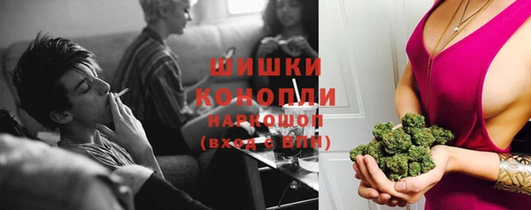 круглые Карпинск