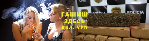 ПСИЛОЦИБИНОВЫЕ ГРИБЫ Карталы