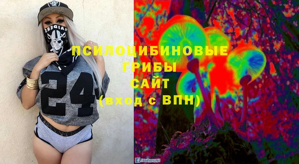 хмурый Касимов