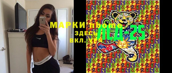 хмурый Касимов