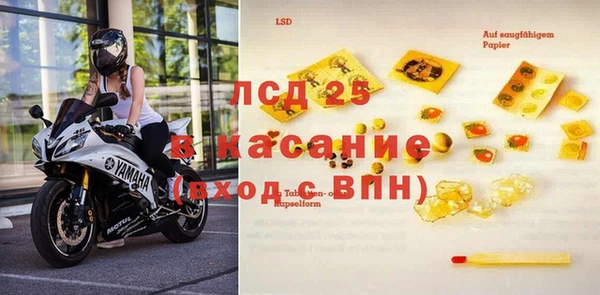 ПСИЛОЦИБИНОВЫЕ ГРИБЫ Карталы