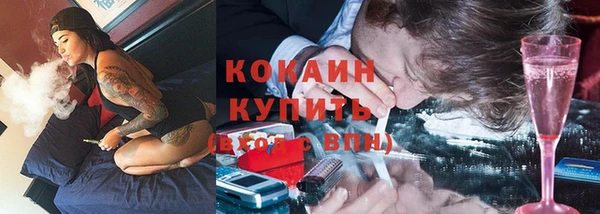 ПСИЛОЦИБИНОВЫЕ ГРИБЫ Карталы