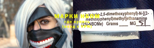 хмурый Касимов