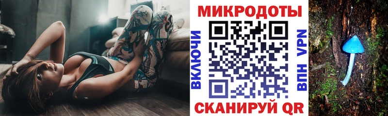Галлюциногенные грибы Psilocybe  Купить где  Южно-Сухокумск 